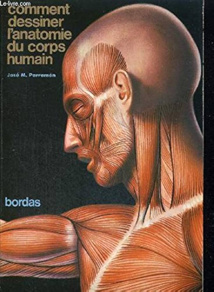 Comment dessin l'anatomie du corps humain