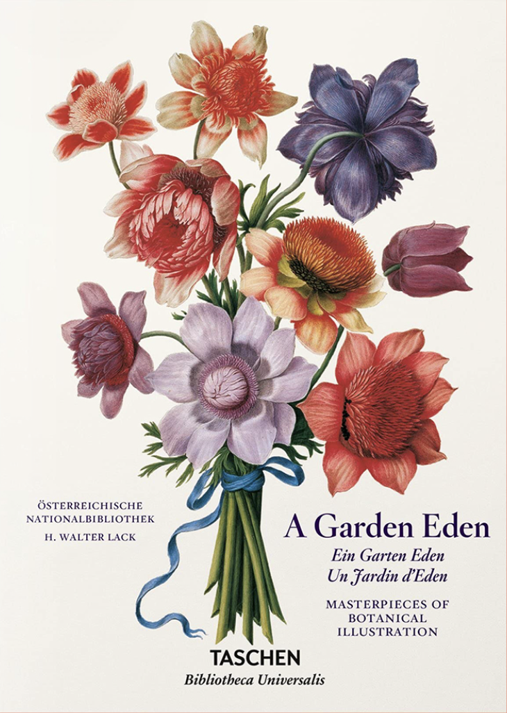 A Garden Eden